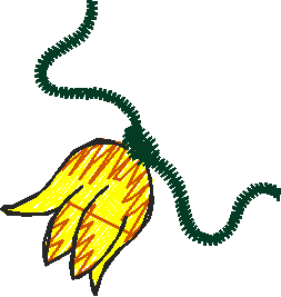 Ad1113 005