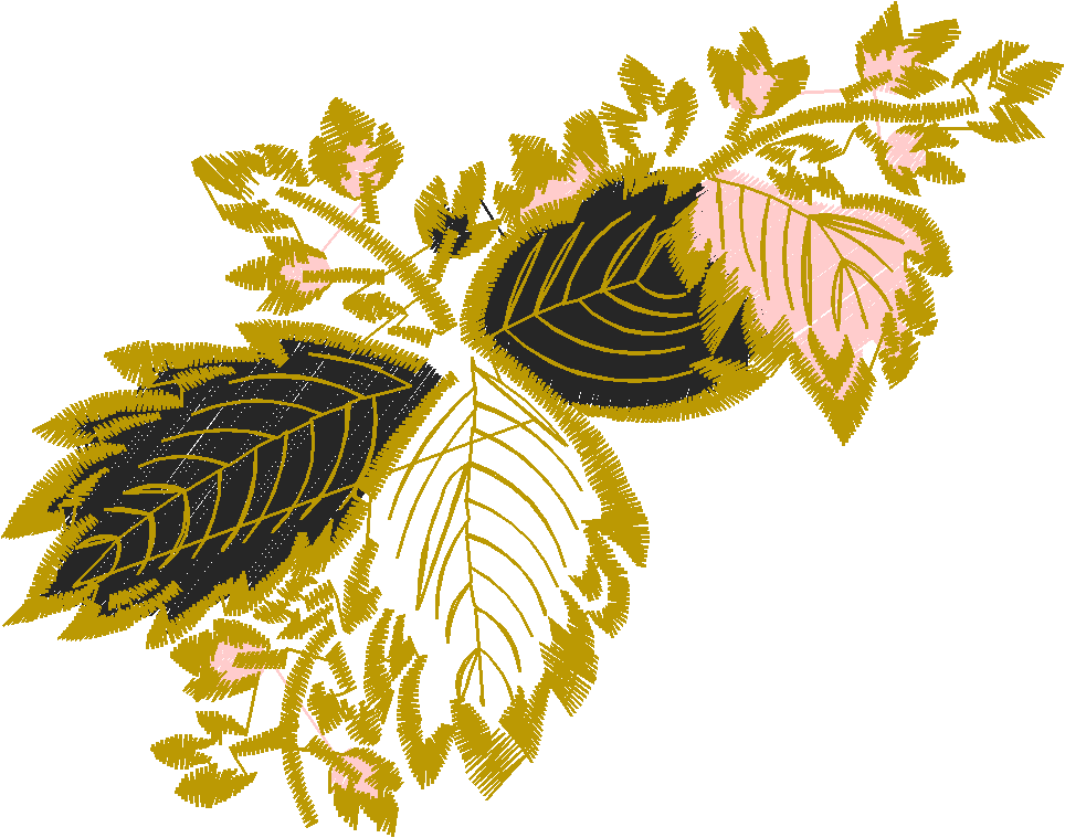 Bl c01 006