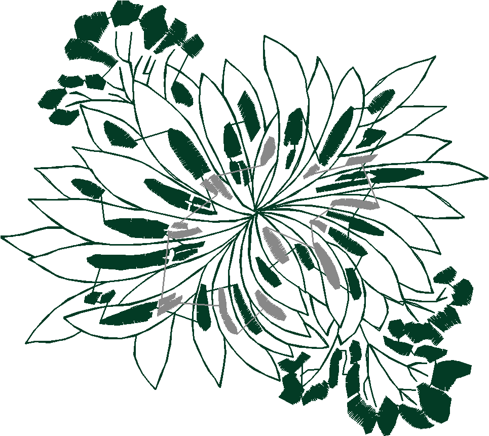 Bl c01 009