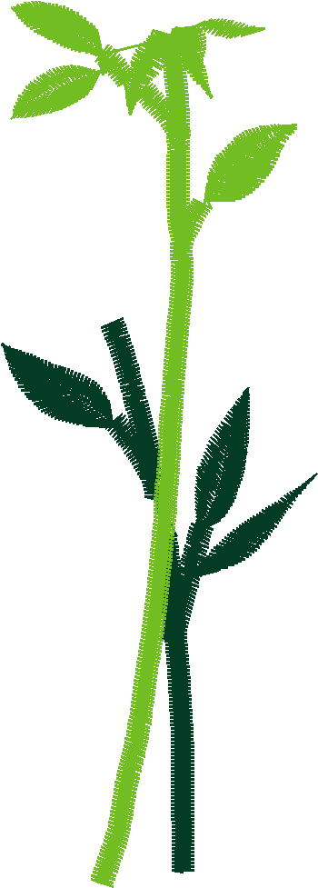 Des01 02 2
