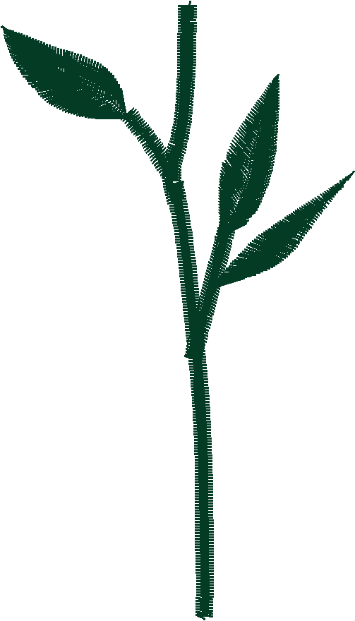 Des01 03 2