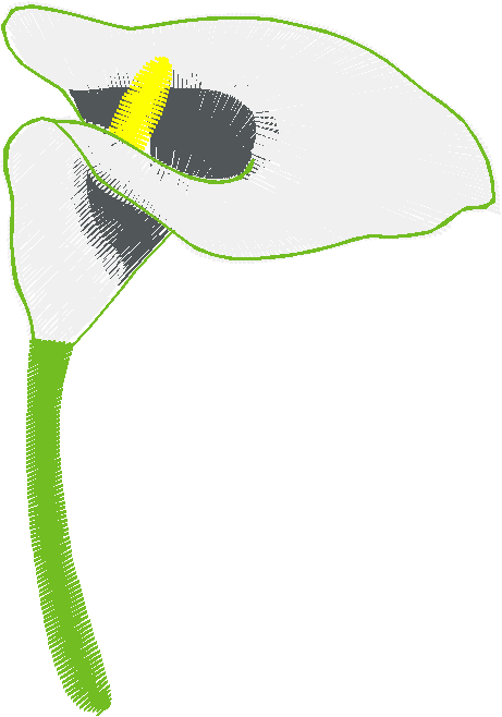Des12 07