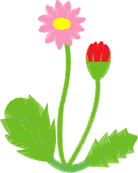 Des12 12