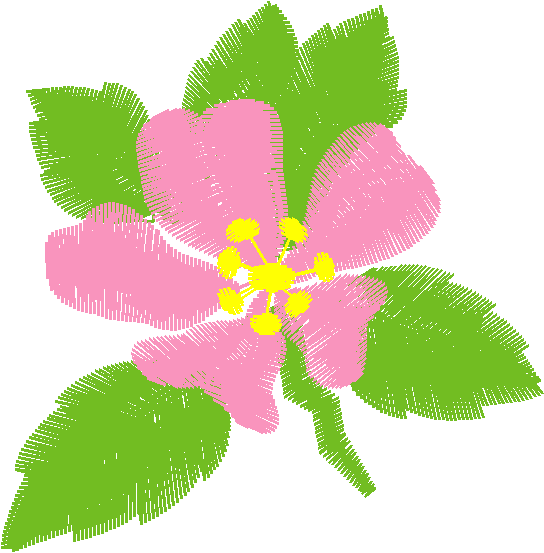 Des12 31