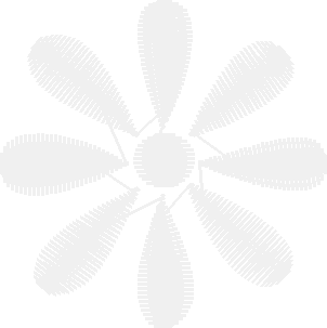Des15201