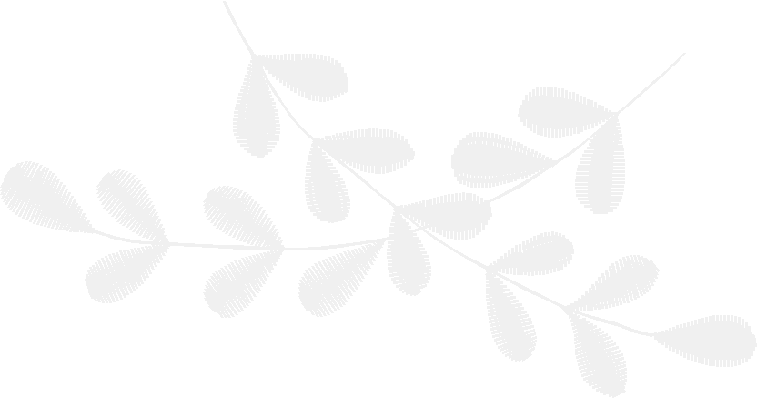 Des15306