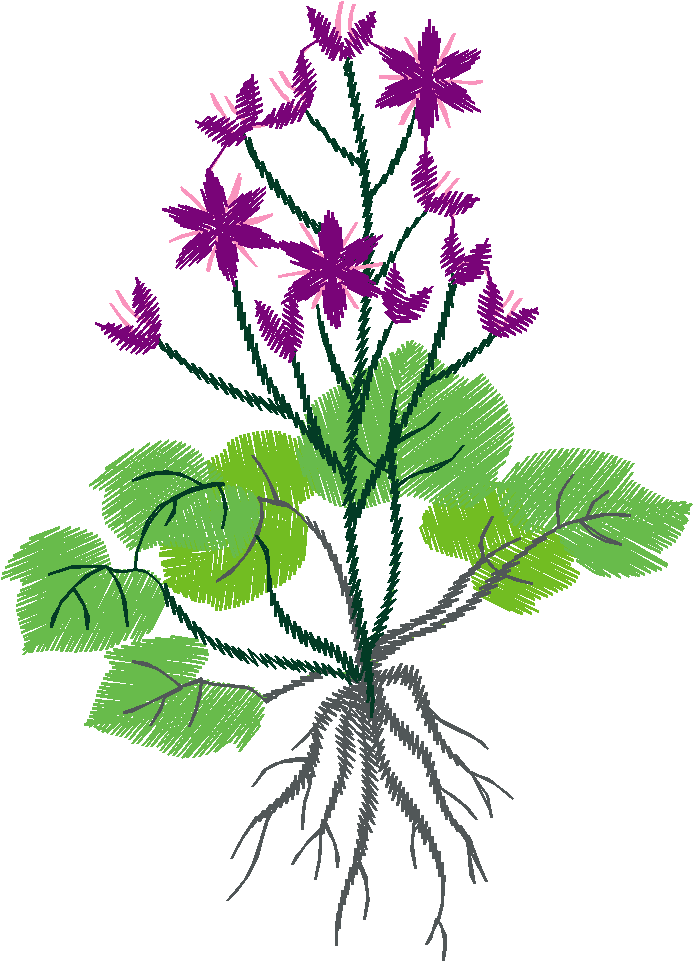 Floral2004