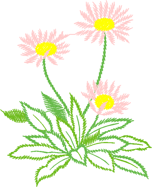 Floral3016