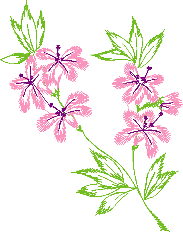 Floral3020