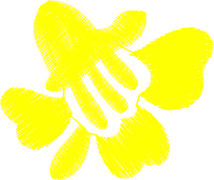 Flower5