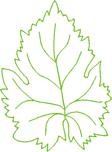 Leaf13