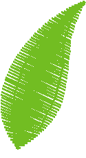 Leaf4