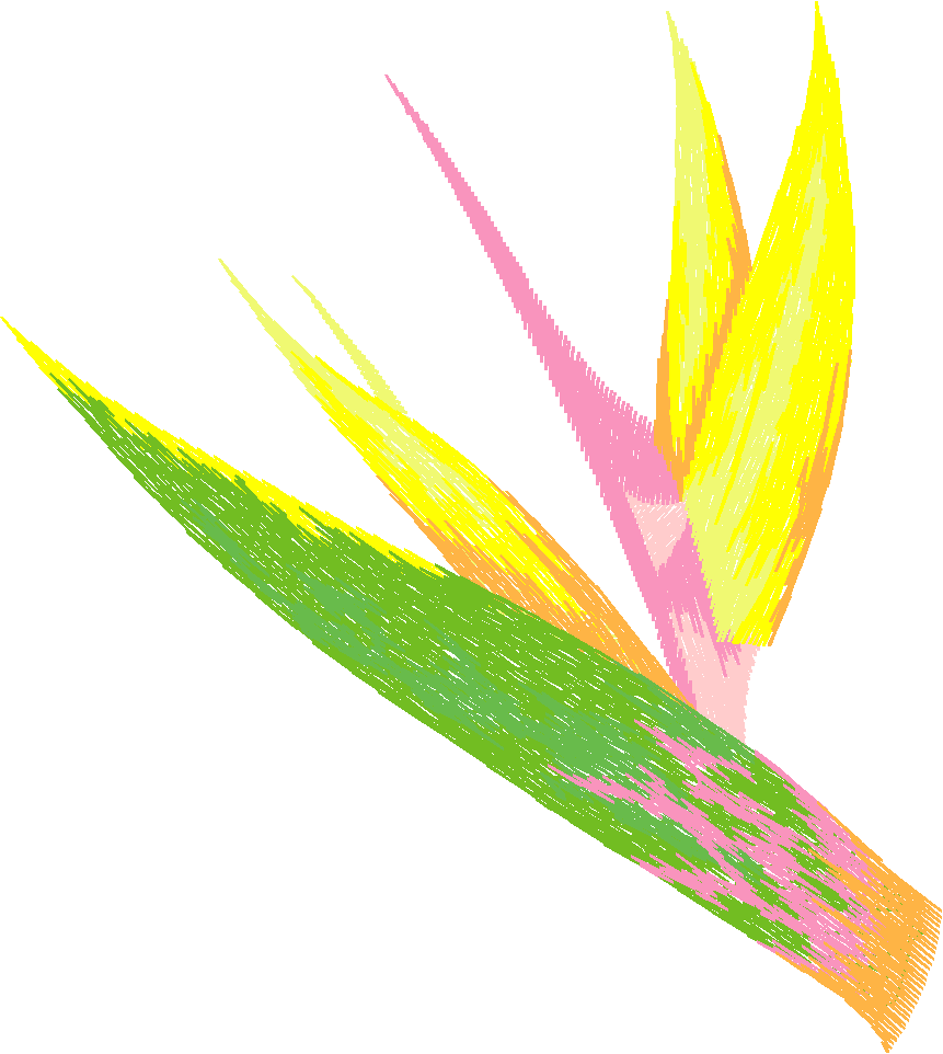 N¦ 31014