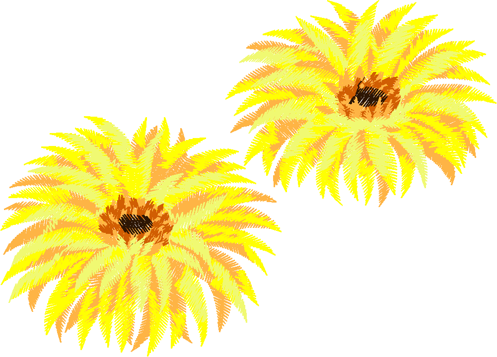 N¦ 31035