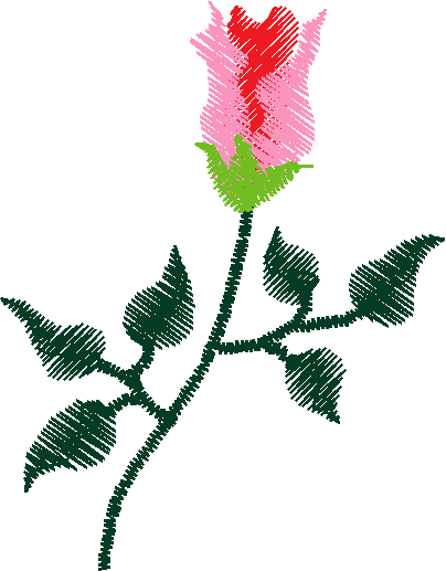 Satnrose