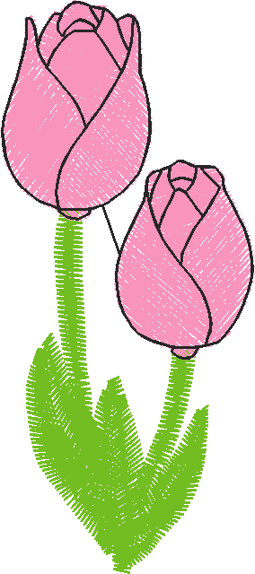 Tulip
