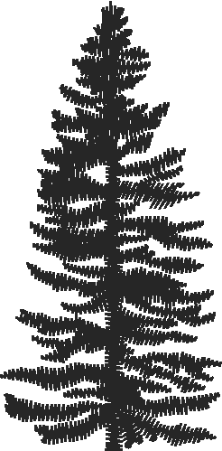 Fo004
