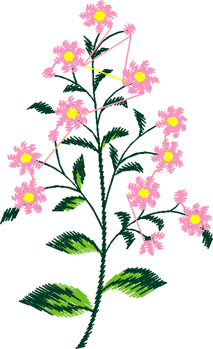 Jardin 16