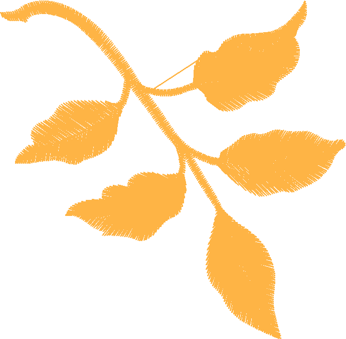 Leaf16