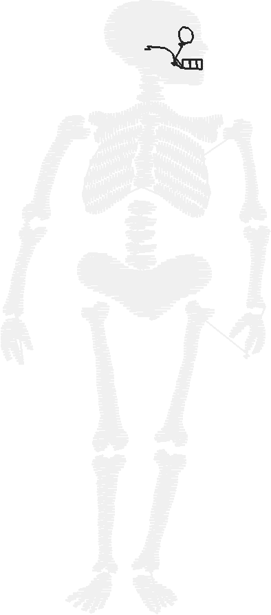 Skstan~1