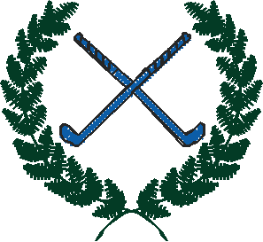 Golf 1  (15)