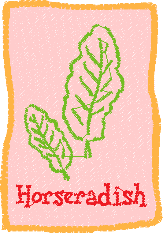 Herb Packets 1  (3)