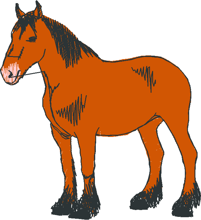 Horses 10 (16)