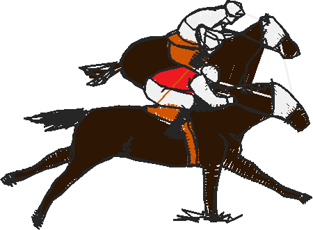 Horses 12 (16)