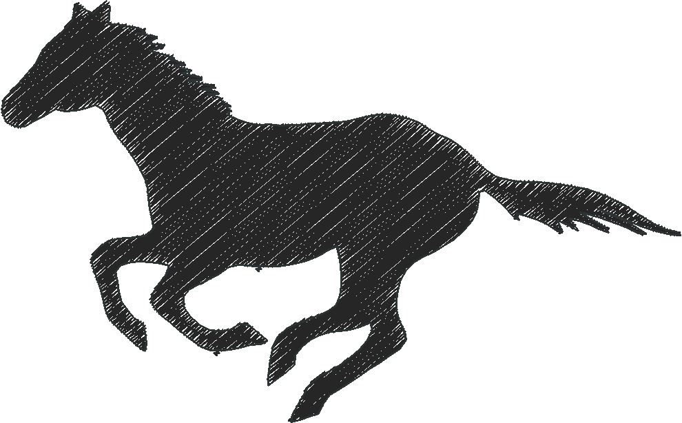 Horses 14  (15)
