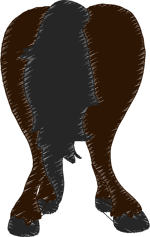 Horses 14  (32)