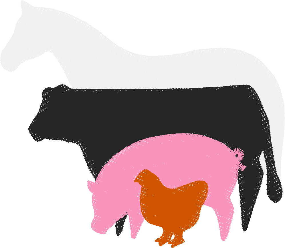 Horses 14  (43)