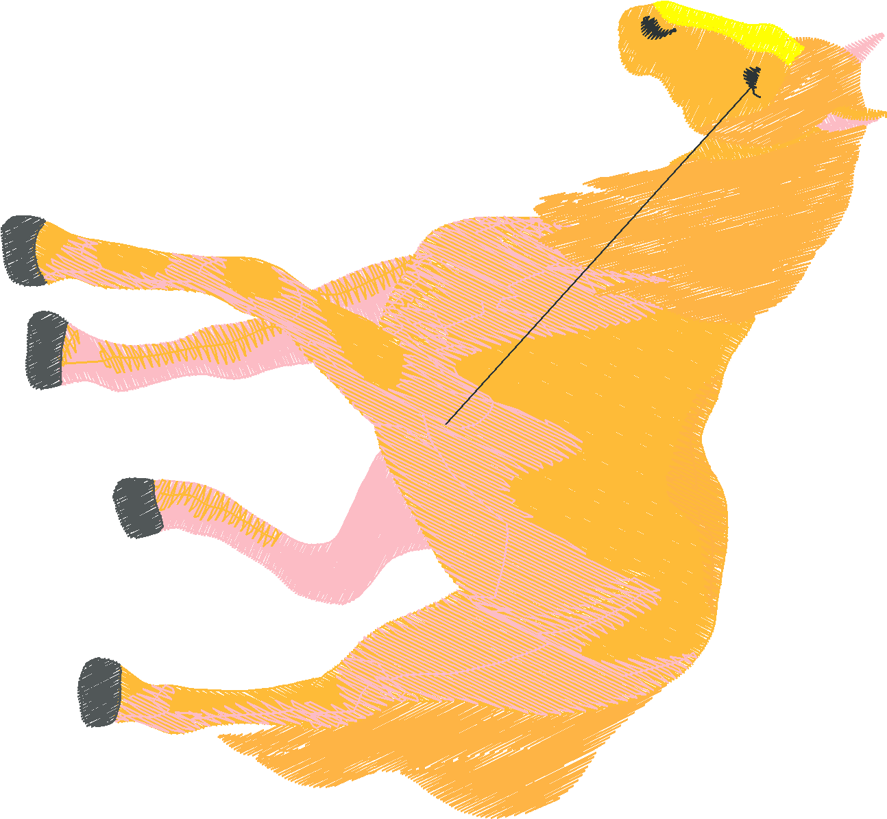 Horses 14  (70)