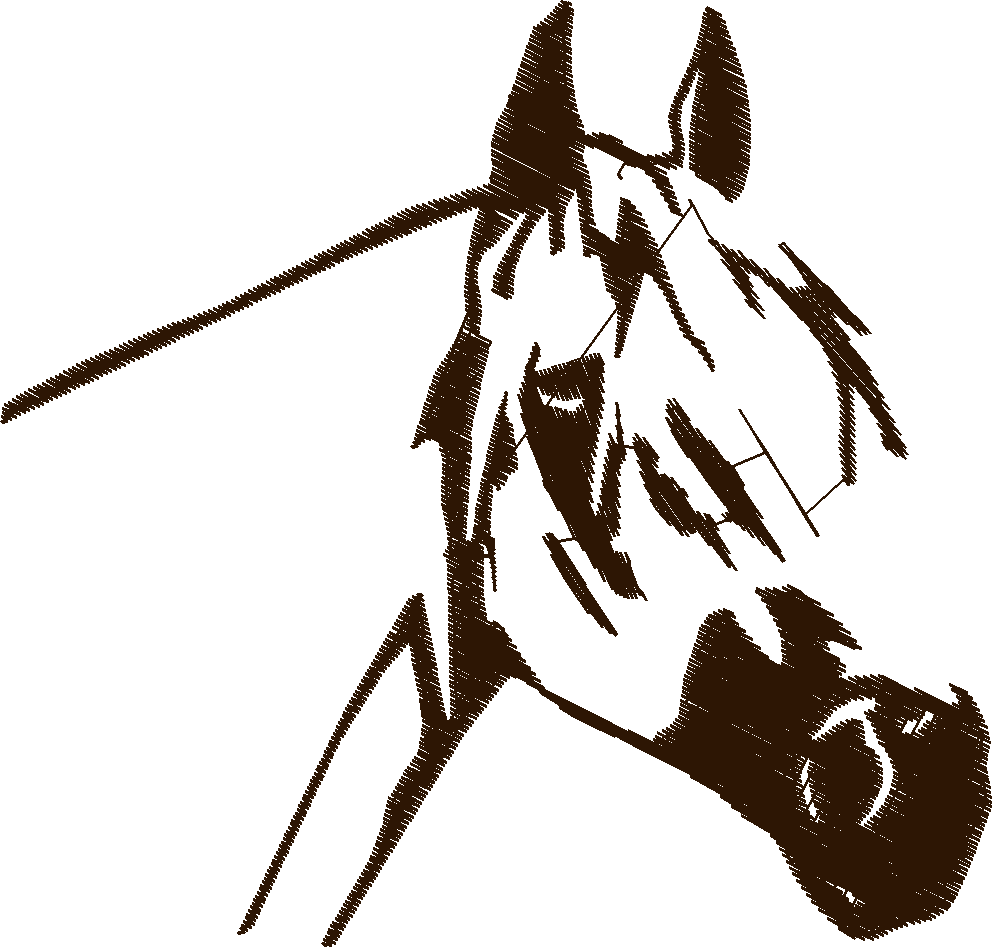 Horses 14  (72)