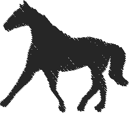 Horses 15  (24)