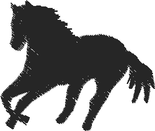 Horses 15  (28)