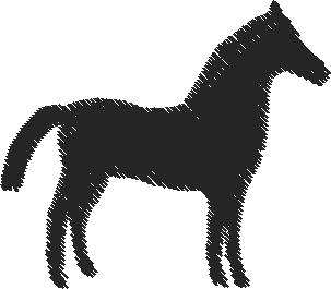 Horses 15  (8)