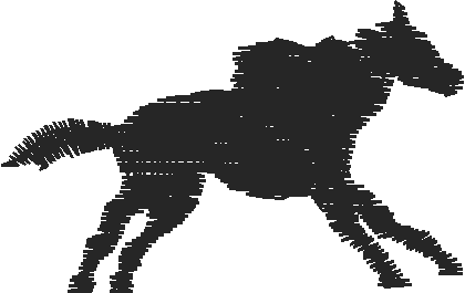 Horses 2  (69)