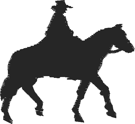 Horses 2  (71)