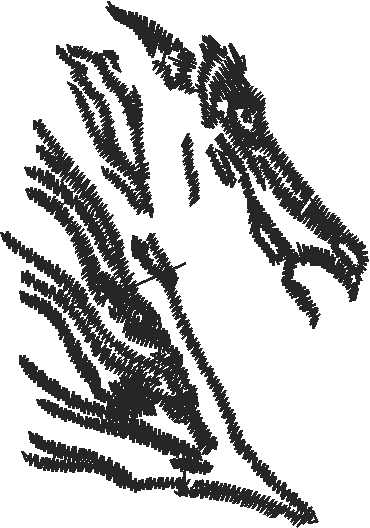 Horses 2  (77)