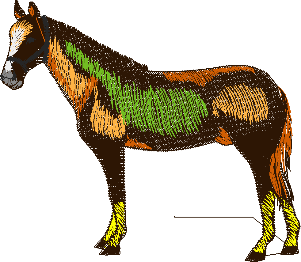Horses 4  (13)