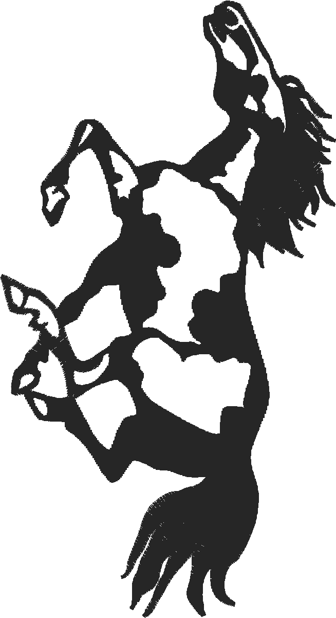 Horses 5  (1)
