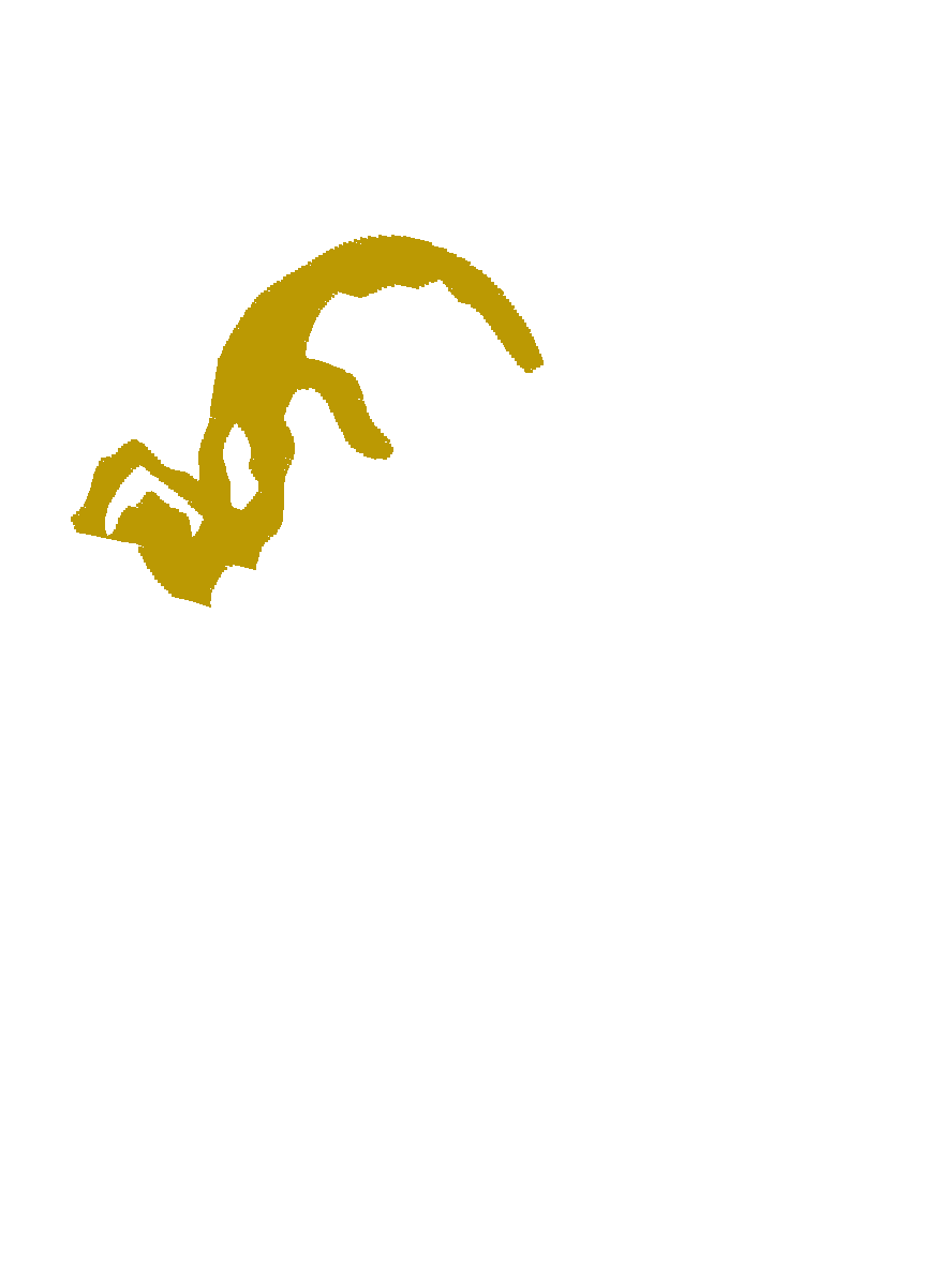 Horses 5  (9)