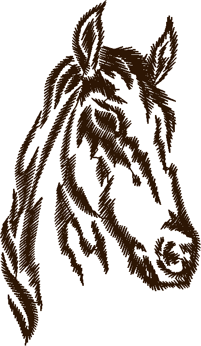 Horses 9  (14)