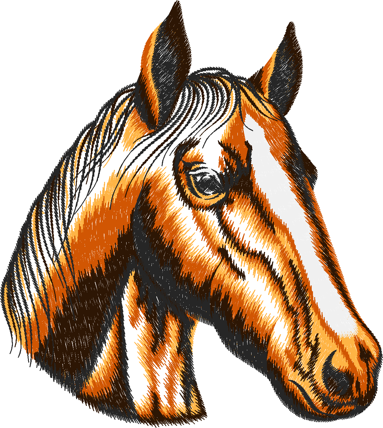 Horses 9  (20)