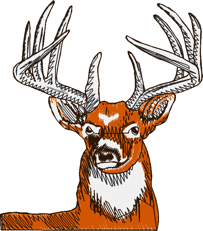 Hunting 1  (14)