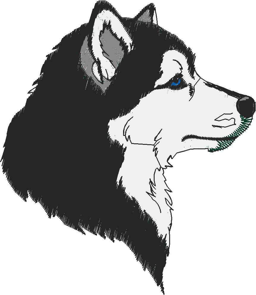 Huskies 1 (5)