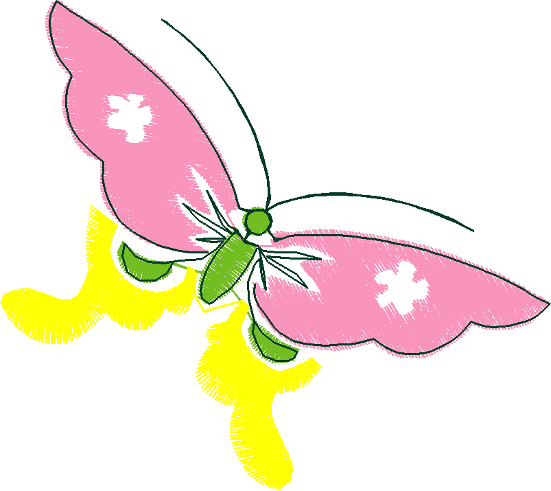 Insects 1  (3)