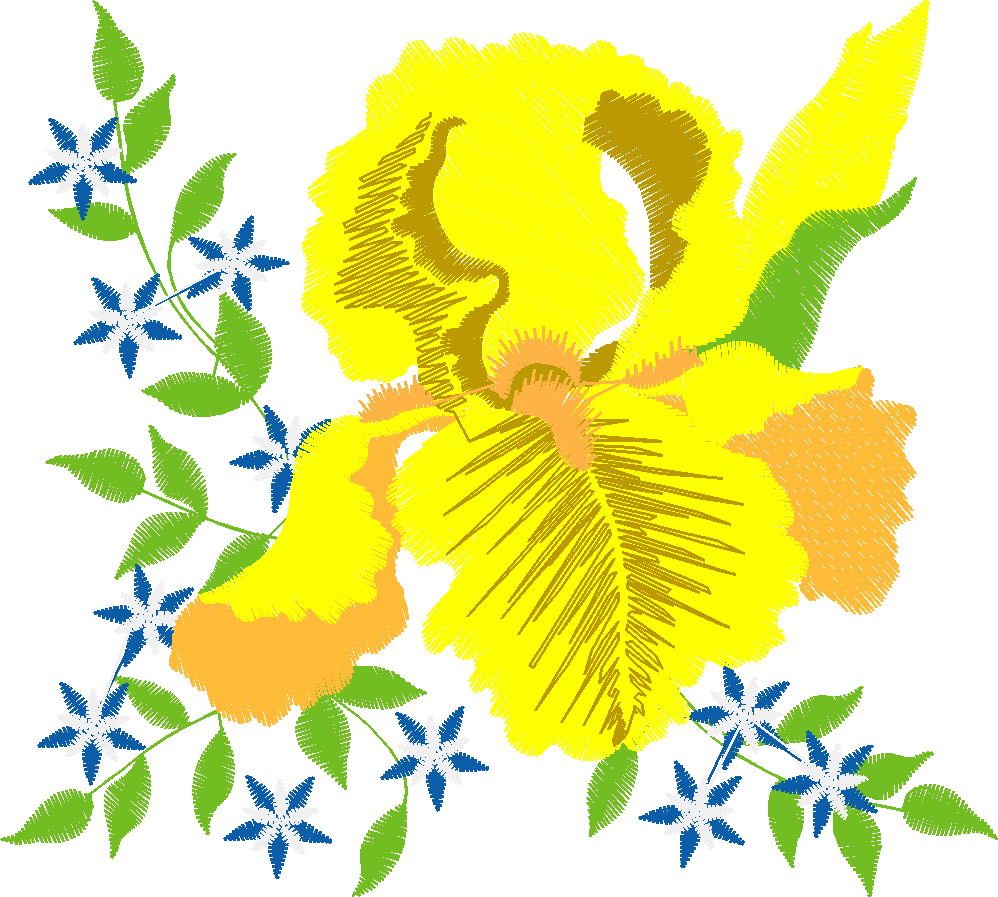 Iris 1  (6)