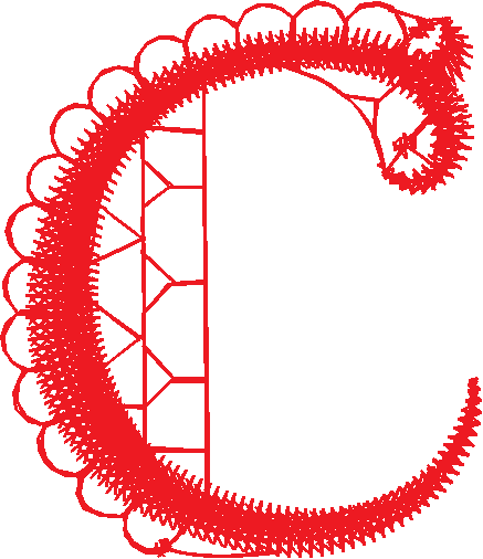 C