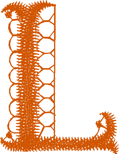 L